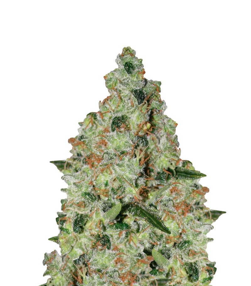 Acid, Фасовка: 3