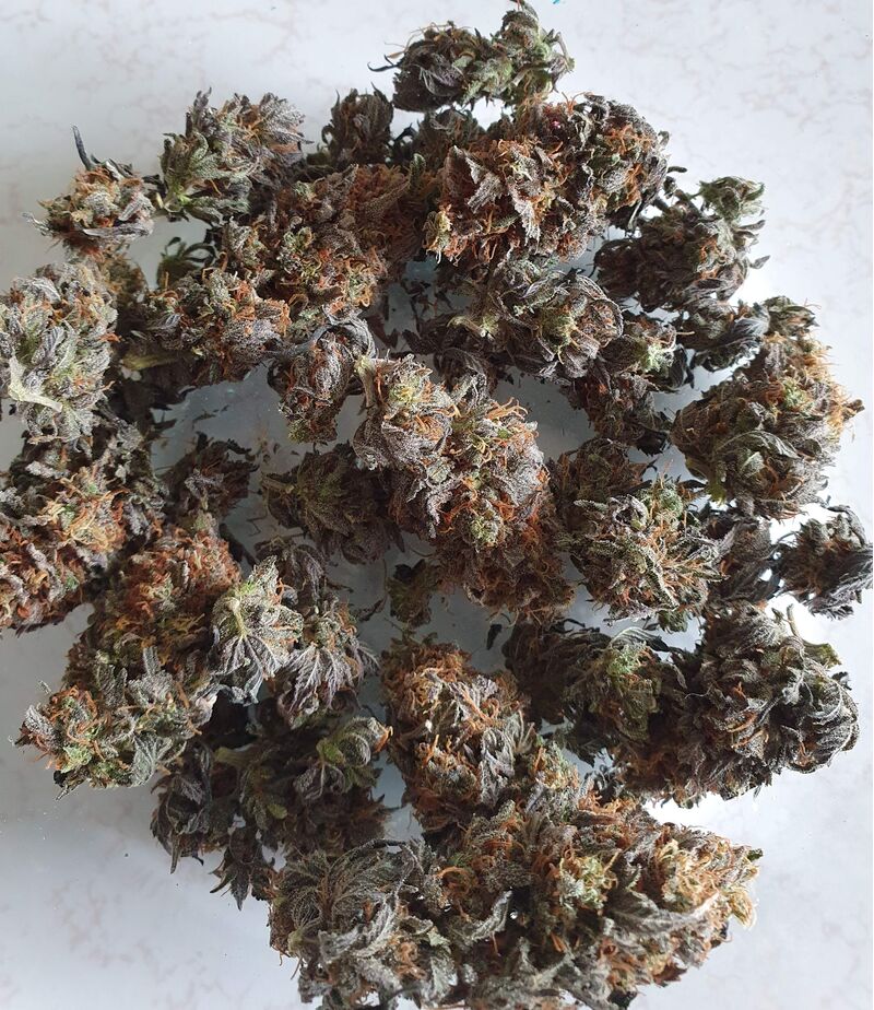 Widow Remedy Reg, Фасовка: 10, изображение 2