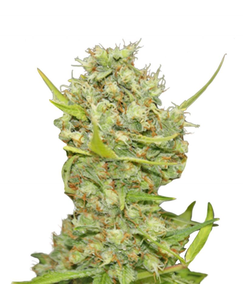 Pineapple Chunk, Фасовка: 3