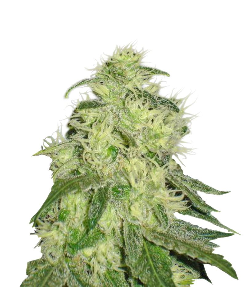 2046, Фасовка: 3, изображение 2