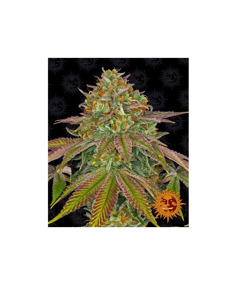 Wedding Cake, Фасовка: 3, изображение 2