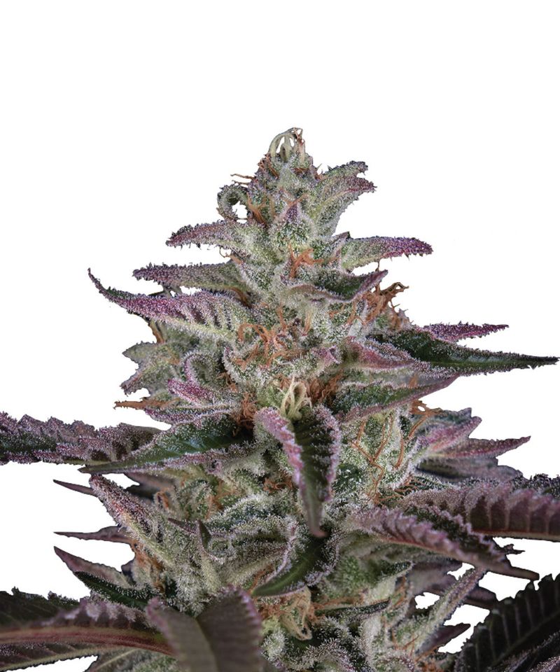 Banana Krumble, Фасовка: 3