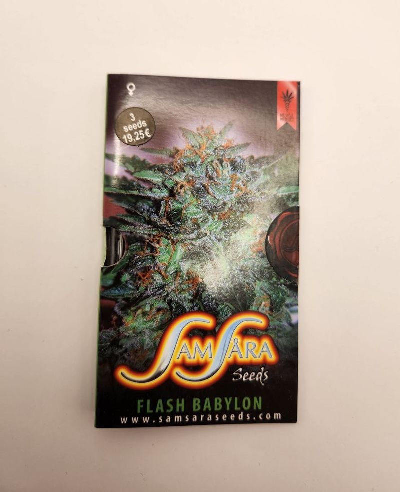 Flash Babylon Samsara, Фасовка: 3