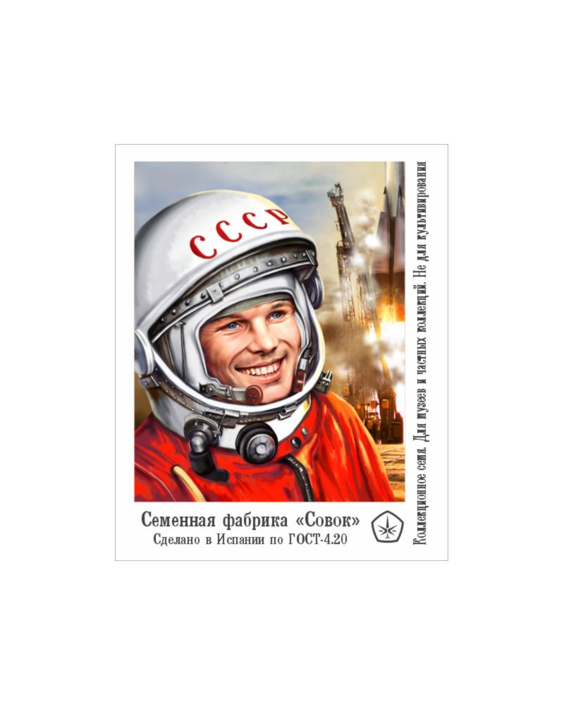 Авто Гагарин, Фасовка: 3, изображение 2